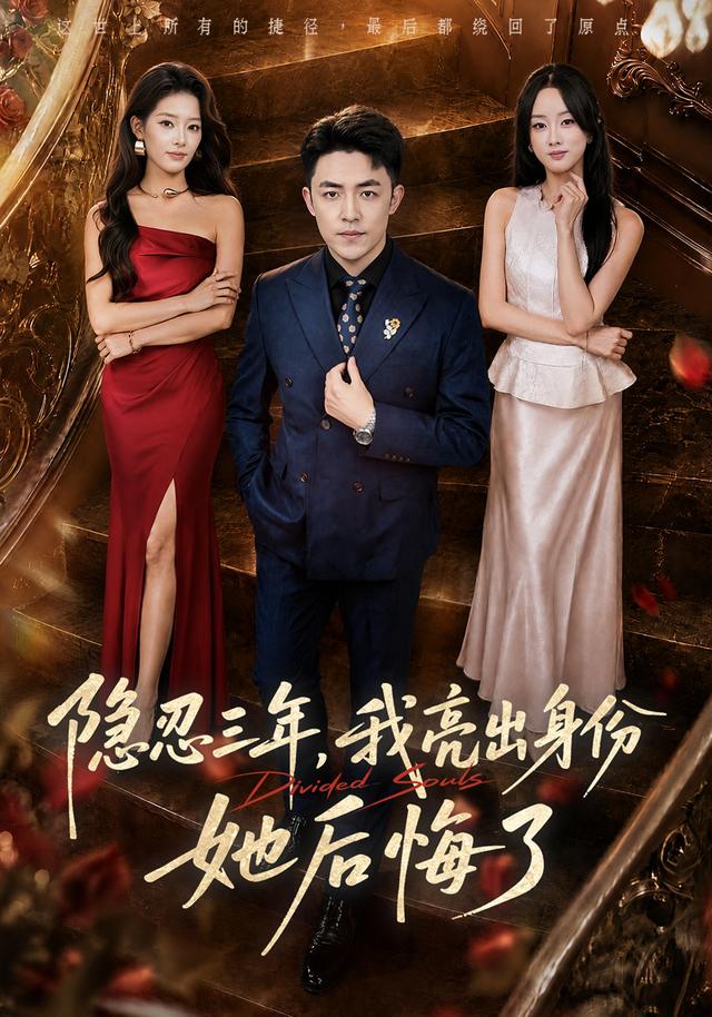 隐忍三年，我亮出身份她后悔了海报
