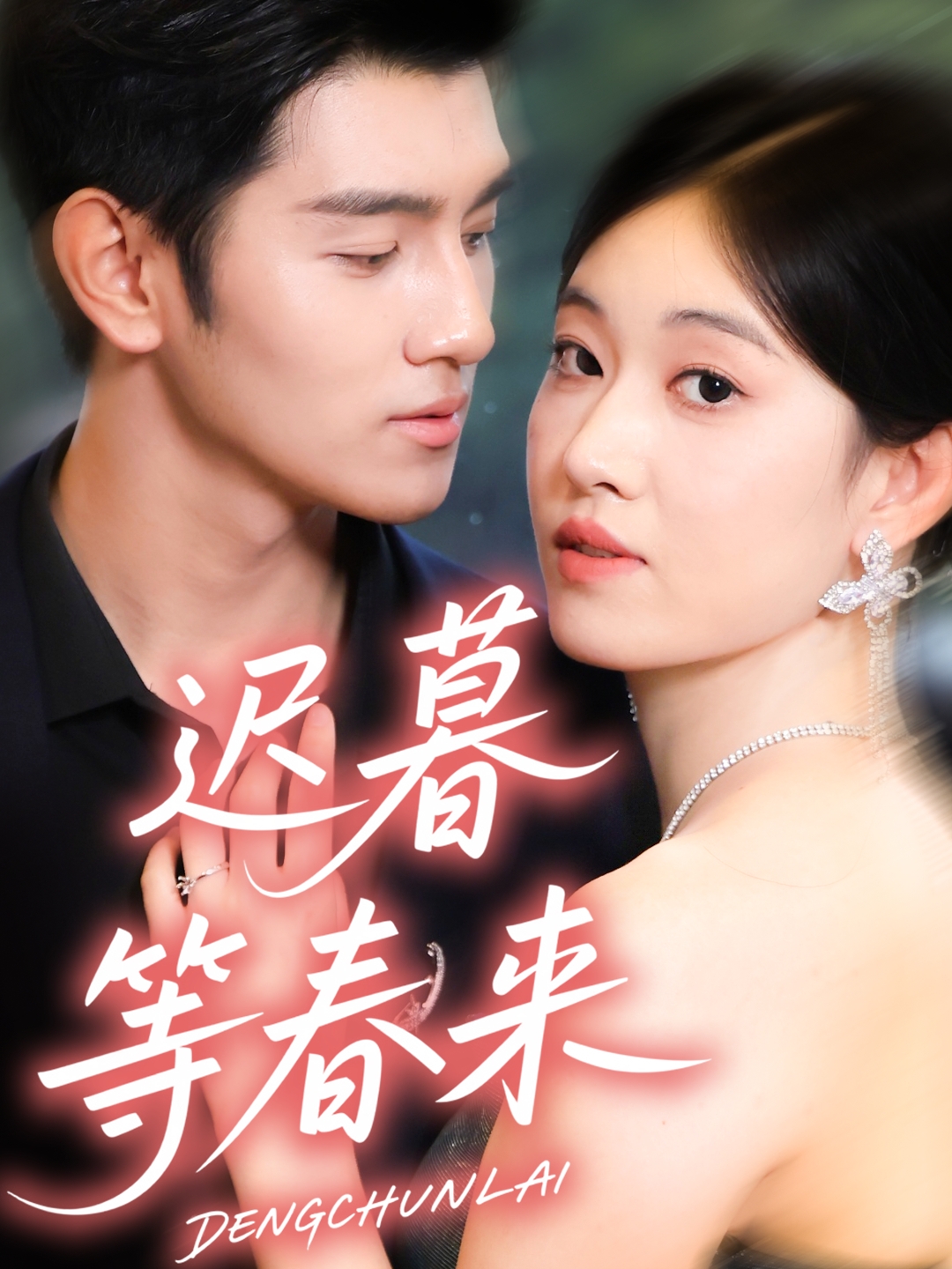 迟暮等春来海报
