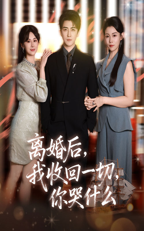 离婚后我收回一切你哭什么海报