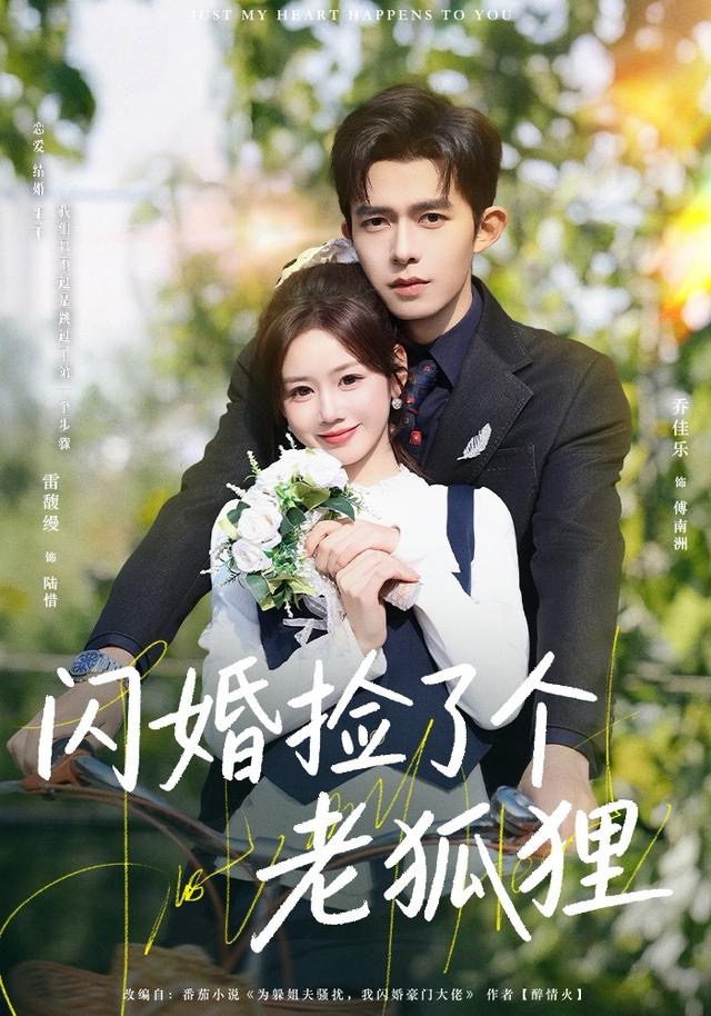 闪婚捡了个老狐狸海报