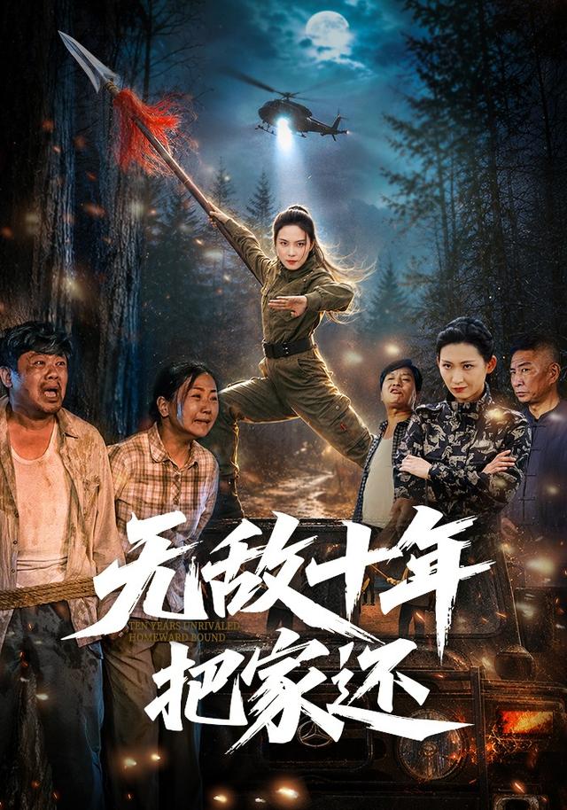 无敌十年把家还海报
