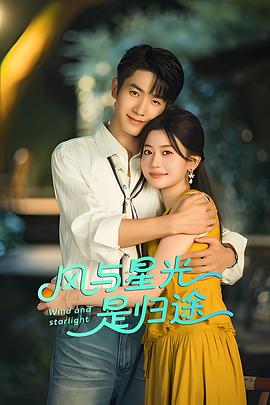 风与星光是归途海报