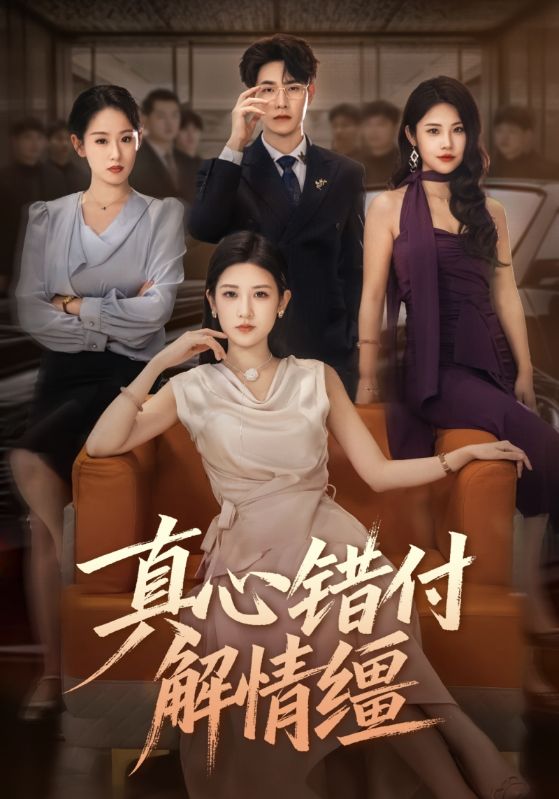 真心错付解情缰海报
