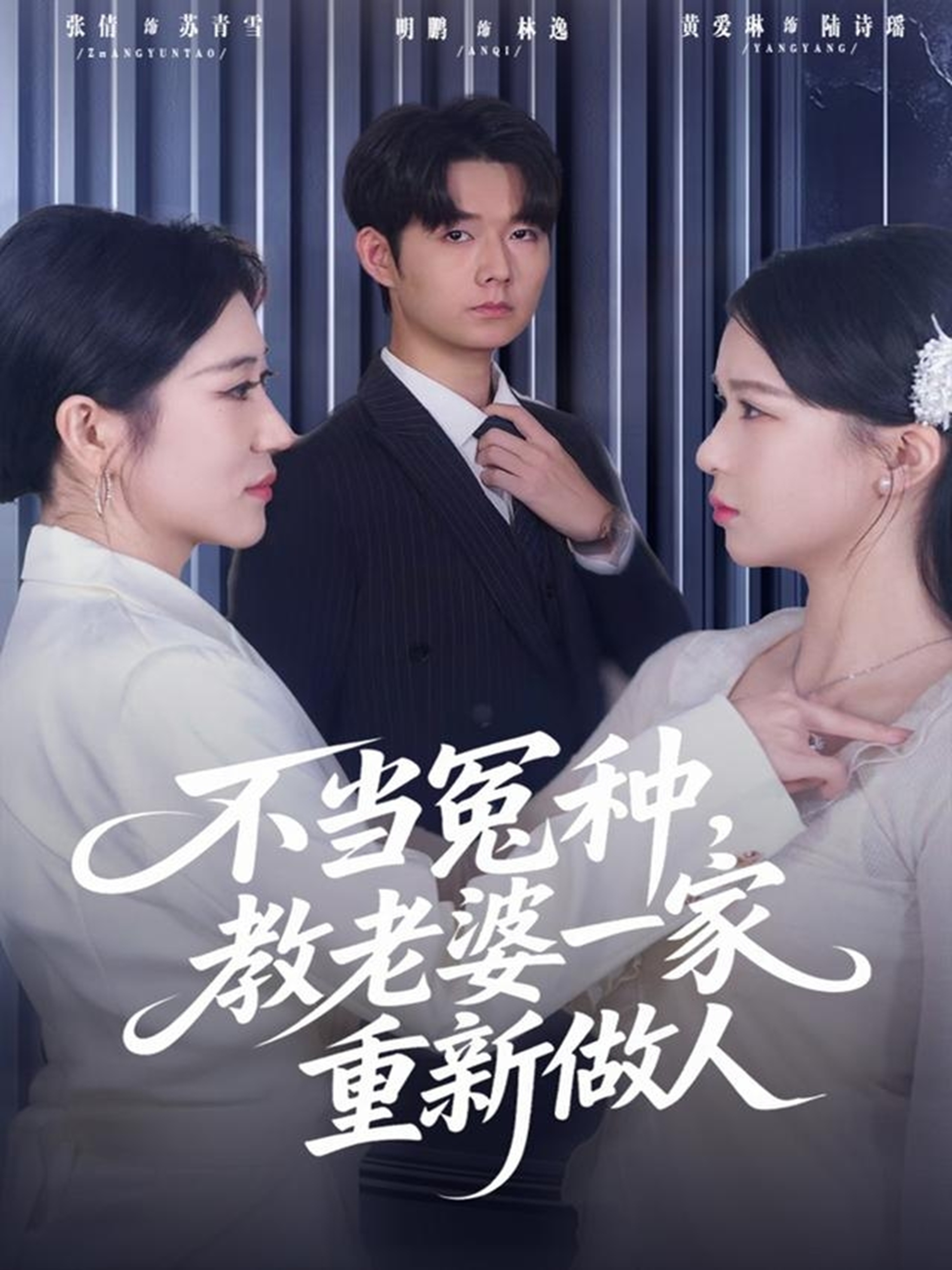 不当冤种，教老婆一家重新做人海报