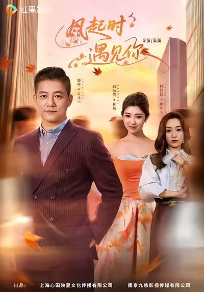 风起时遇见你海报