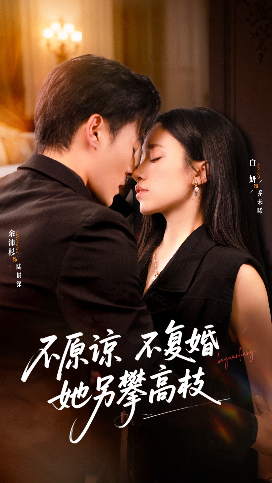 不原谅不复婚她另攀高枝海报