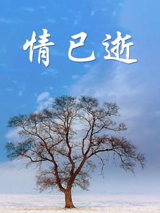 情已逝海报