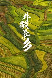 牛敞亮还乡海报