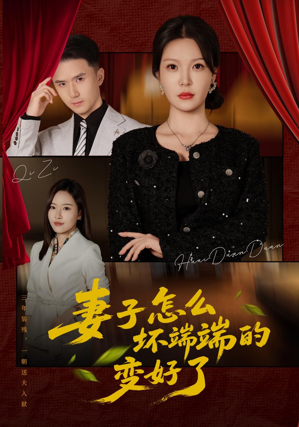 妻子怎么坏端端的变好了海报