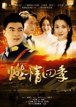 燃情四季海报