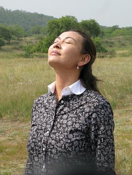月亮之上海报