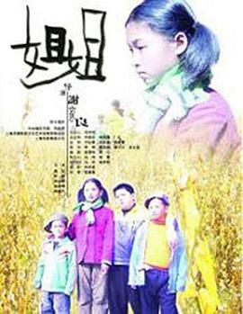 姐姐2006海报