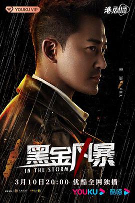 黑金风暴国语海报