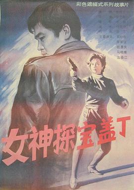 女神探宝盖丁海报