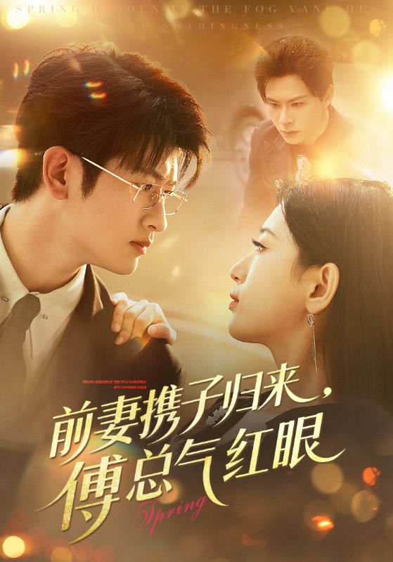 前妻携子归来傅总气红眼海报