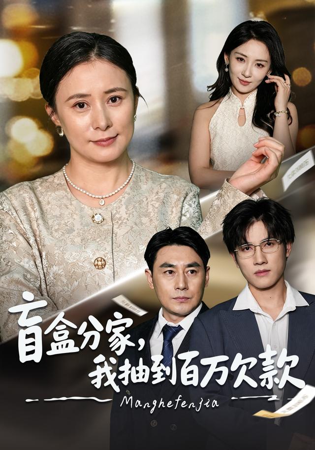 盲盒分家，我抽到百万欠款海报