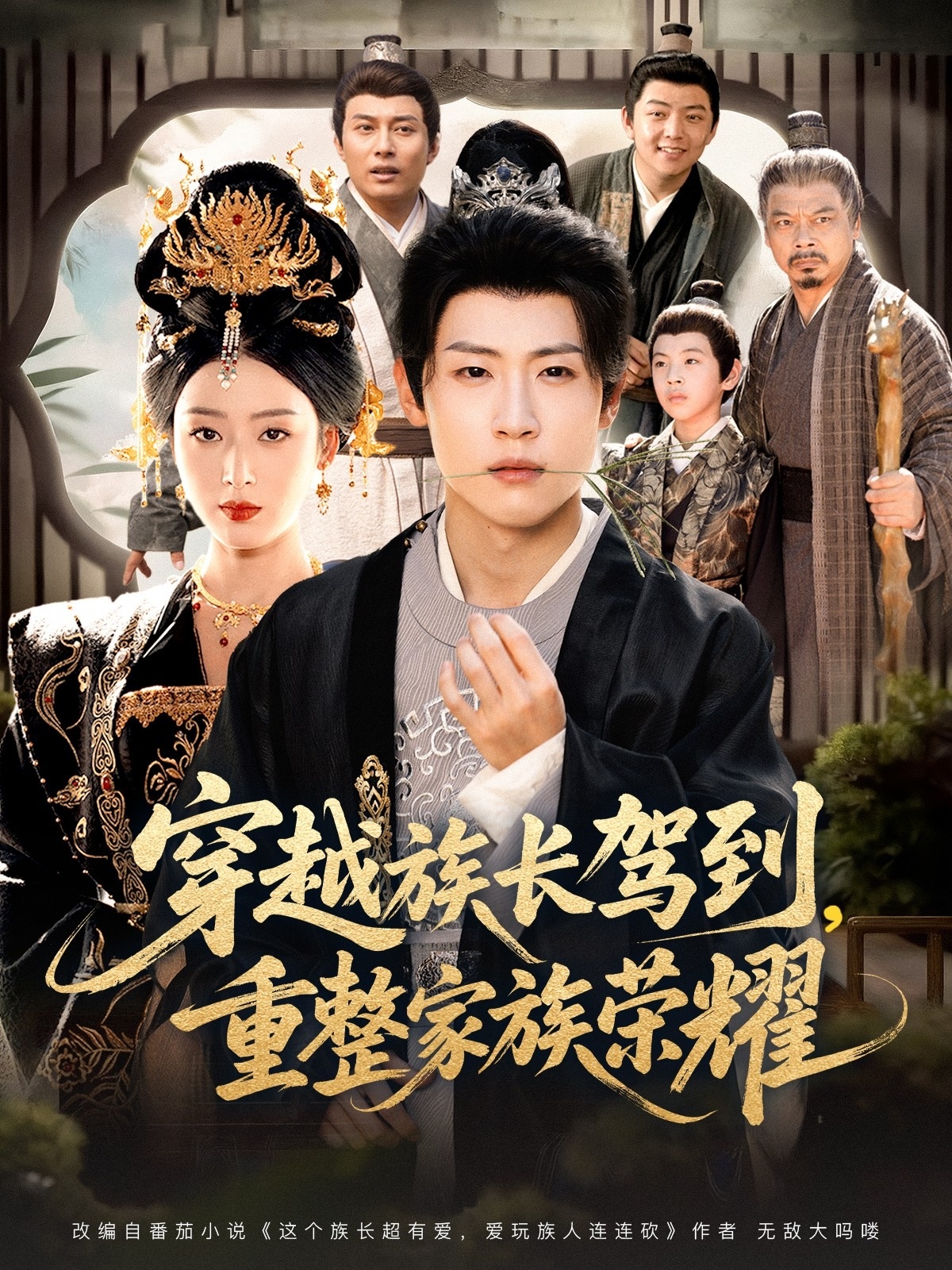 穿越族长驾到重整家族荣耀海报