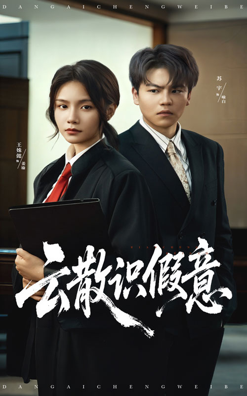云散识假意海报