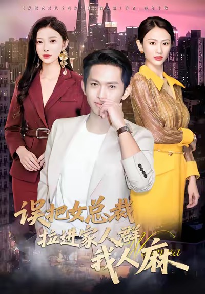误把女总裁拉进家人群我人麻海报