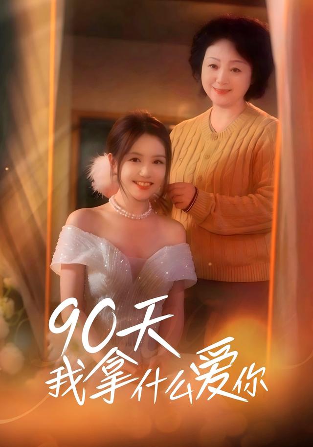 90天我拿什么爱你海报