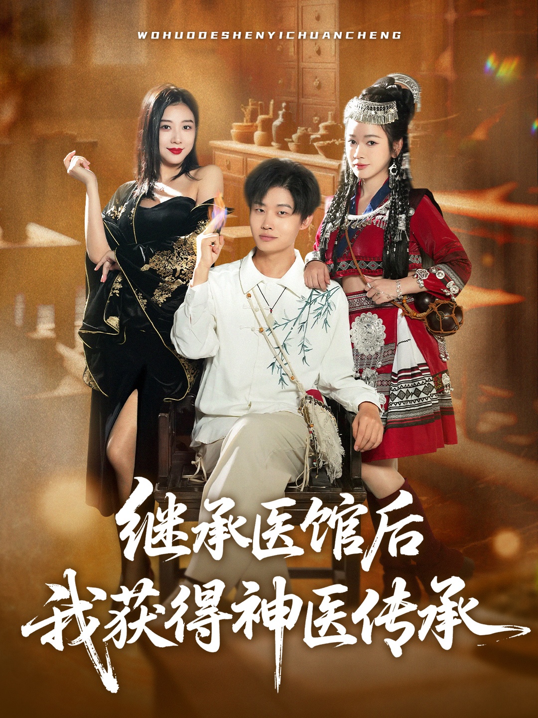 继承医馆后我获得神医传承海报