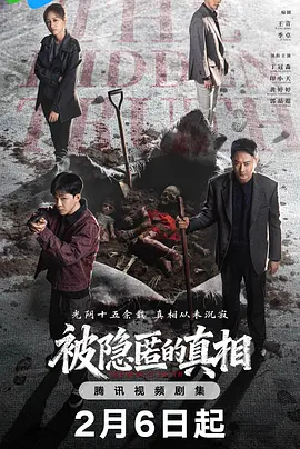 被隐匿的真相海报
