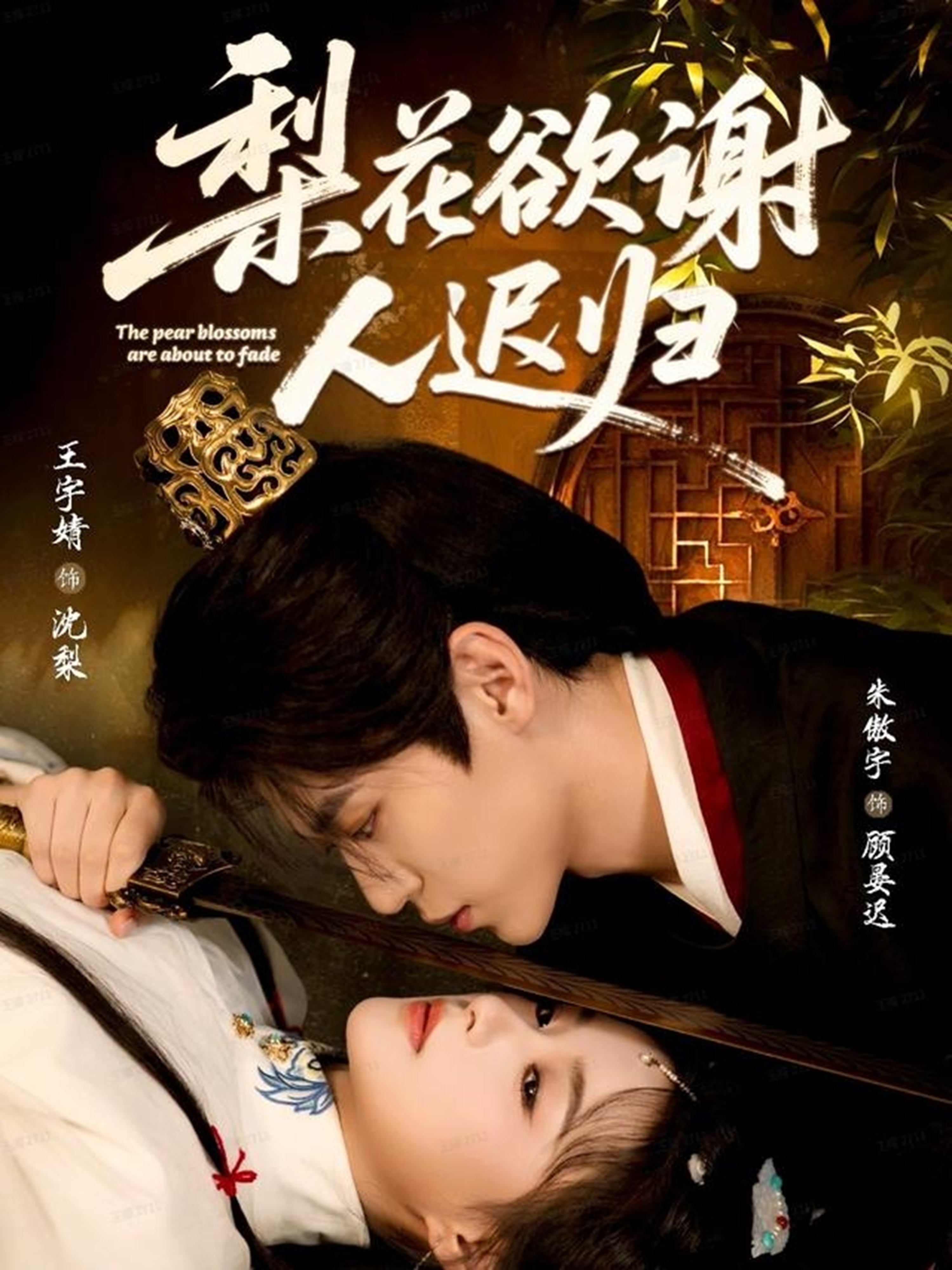 梨花欲谢人迟归海报
