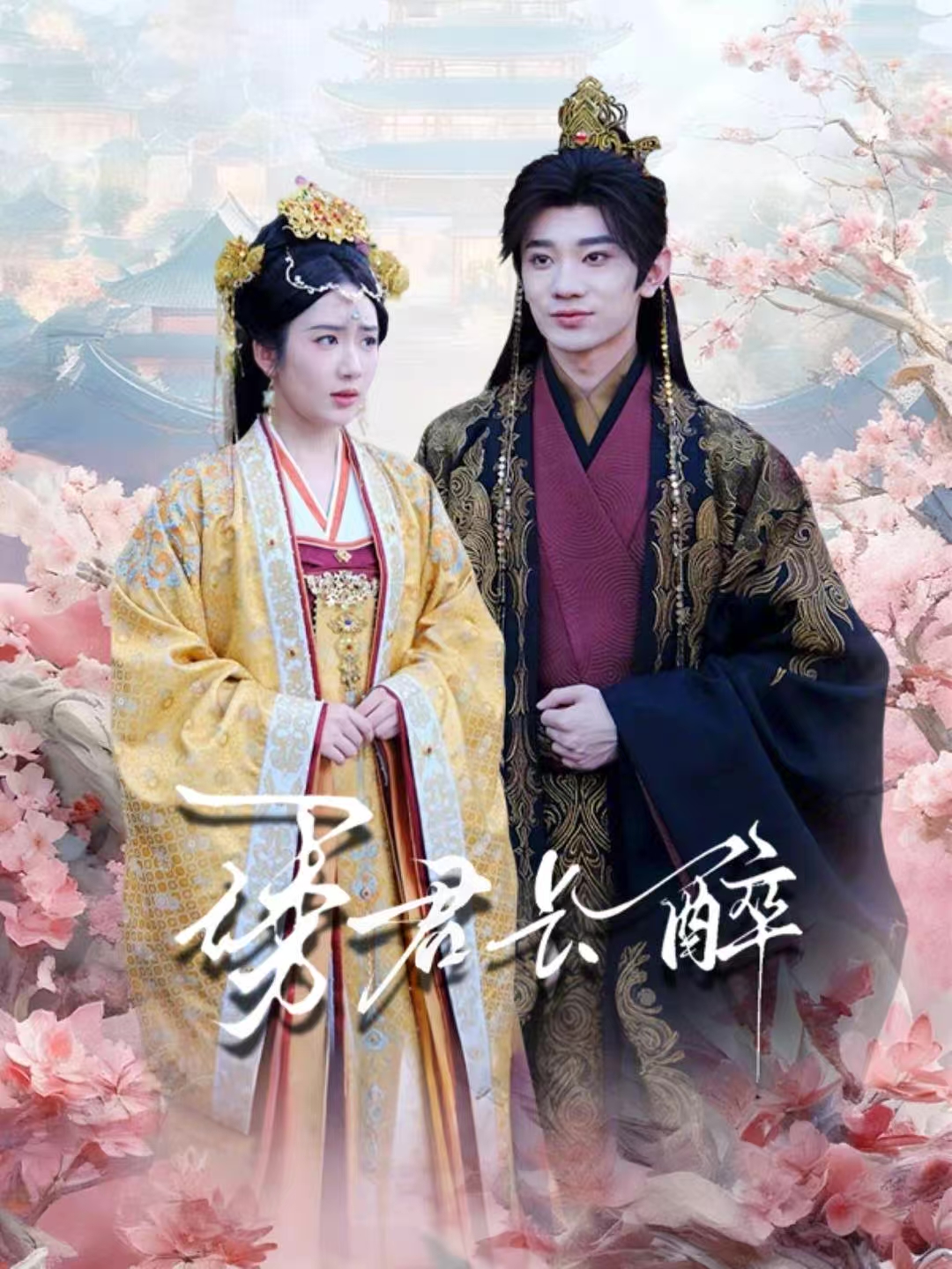 诱君长醉海报