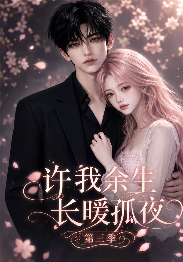 许我余生长暖孤夜第三季海报