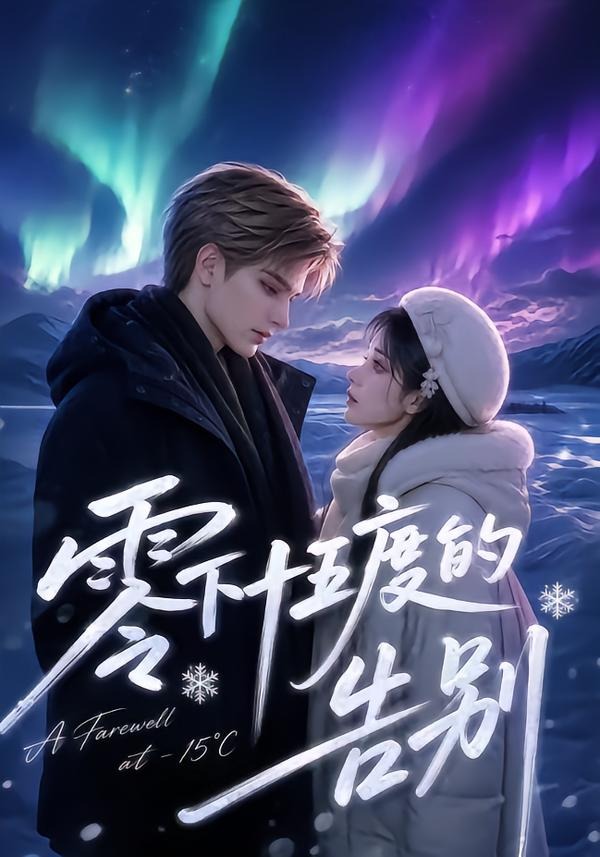 零下十五度的告别海报