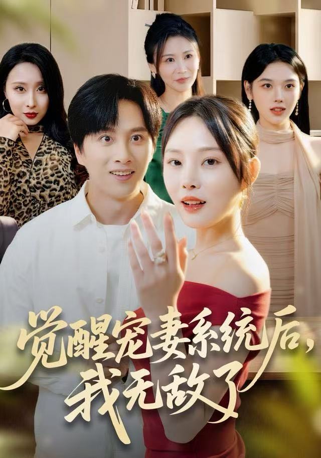 觉醒宠妻系统后，我无敌了海报