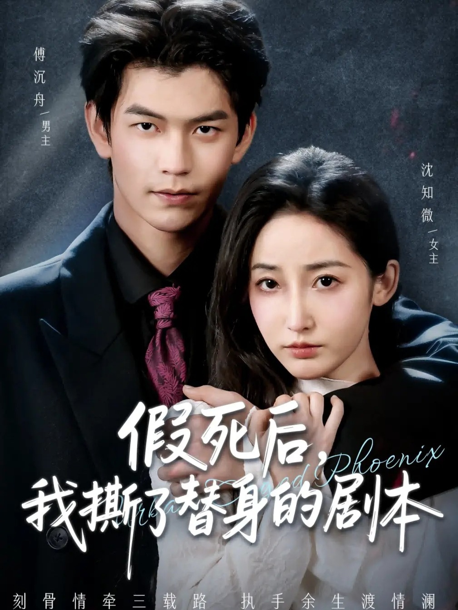 假死后，我撕了替身的剧本海报