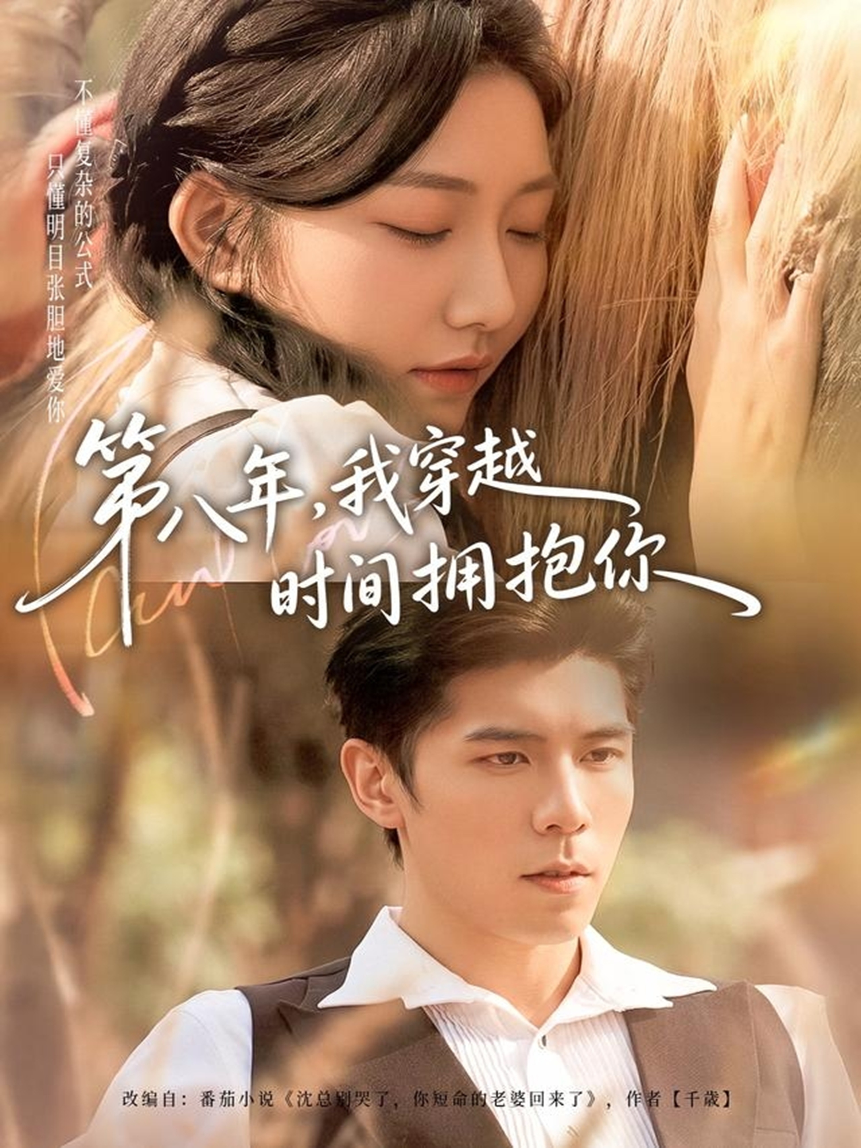 第八年，我穿越时间拥抱你海报