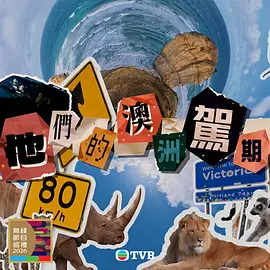 他们的澳洲驾期海报