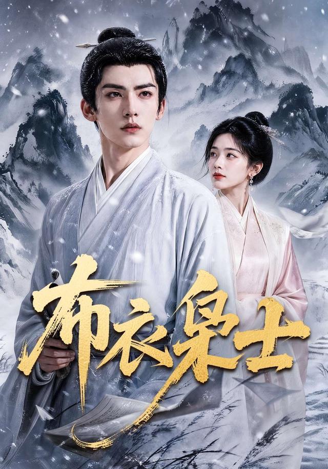 布衣枭士海报