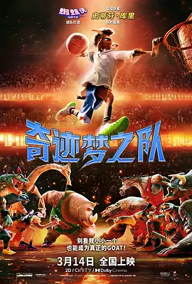 奇迹梦之队海报