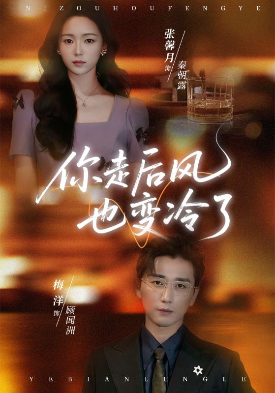 你走后风也变冷了海报