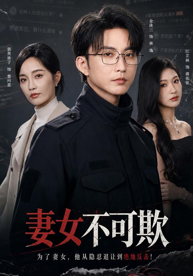 妻女不可欺海报
