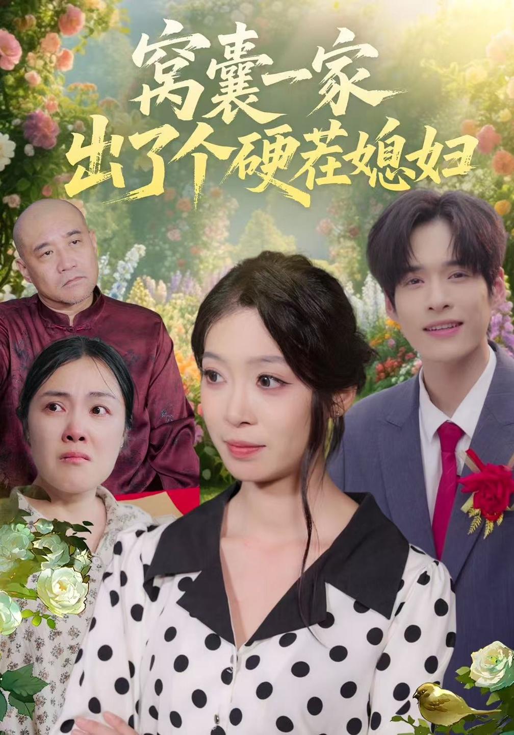 窝囊一家出了个硬茬媳妇海报