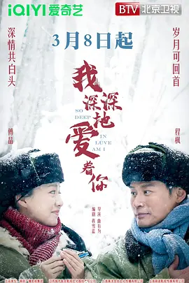 我深深地爱着你海报