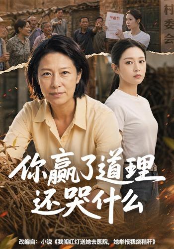 你赢了道理还哭什么海报