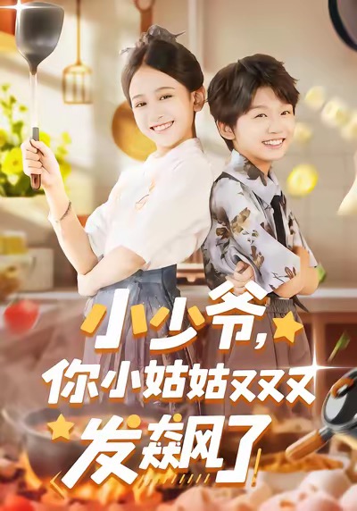 小少爷，你小姑姑又又又发飙了海报