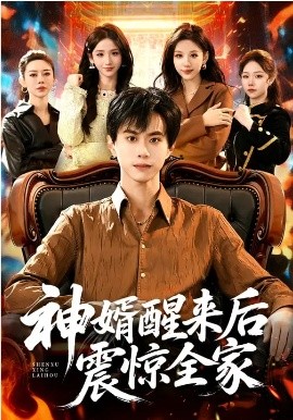 神婿醒来后震惊全家海报