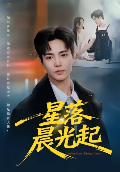 星落晨光起海报