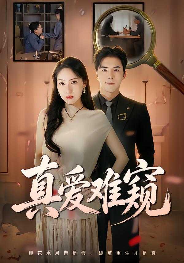 真爱难窥海报