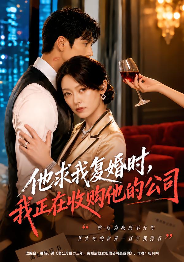 他求我复婚时，我正在收购他的公司海报