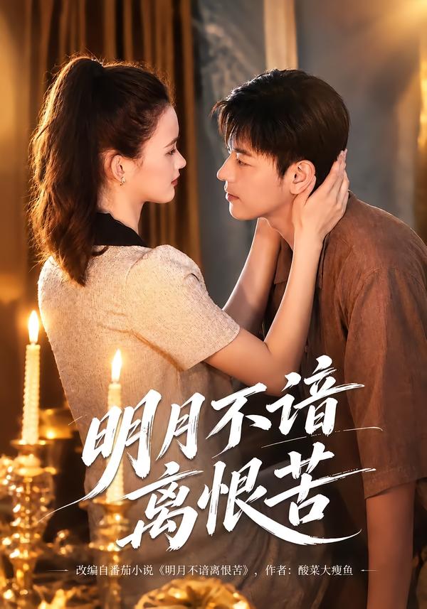 明月不谙离恨苦海报