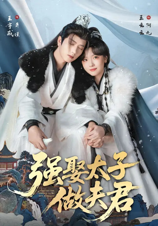 强娶太子做夫君海报