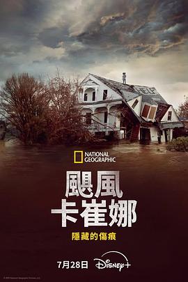 飓风卡特里娜：隐藏的伤痕海报