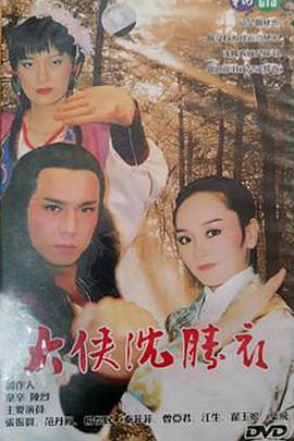 大侠沈胜衣海报